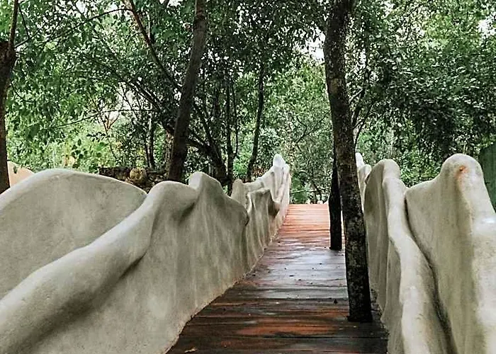 Kuun Taak Tulum