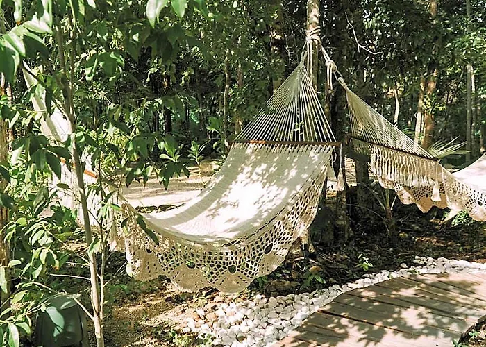 Kuun Taak